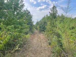 Property photo for land for sale in Beauregard County Louisiana