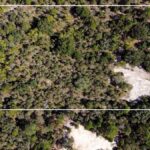 Property photo for land for sale in Levy County Florida