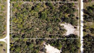 Property photo for land for sale in Levy County Florida