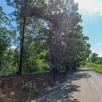 Property photo for land for sale in Polk County Arkansas