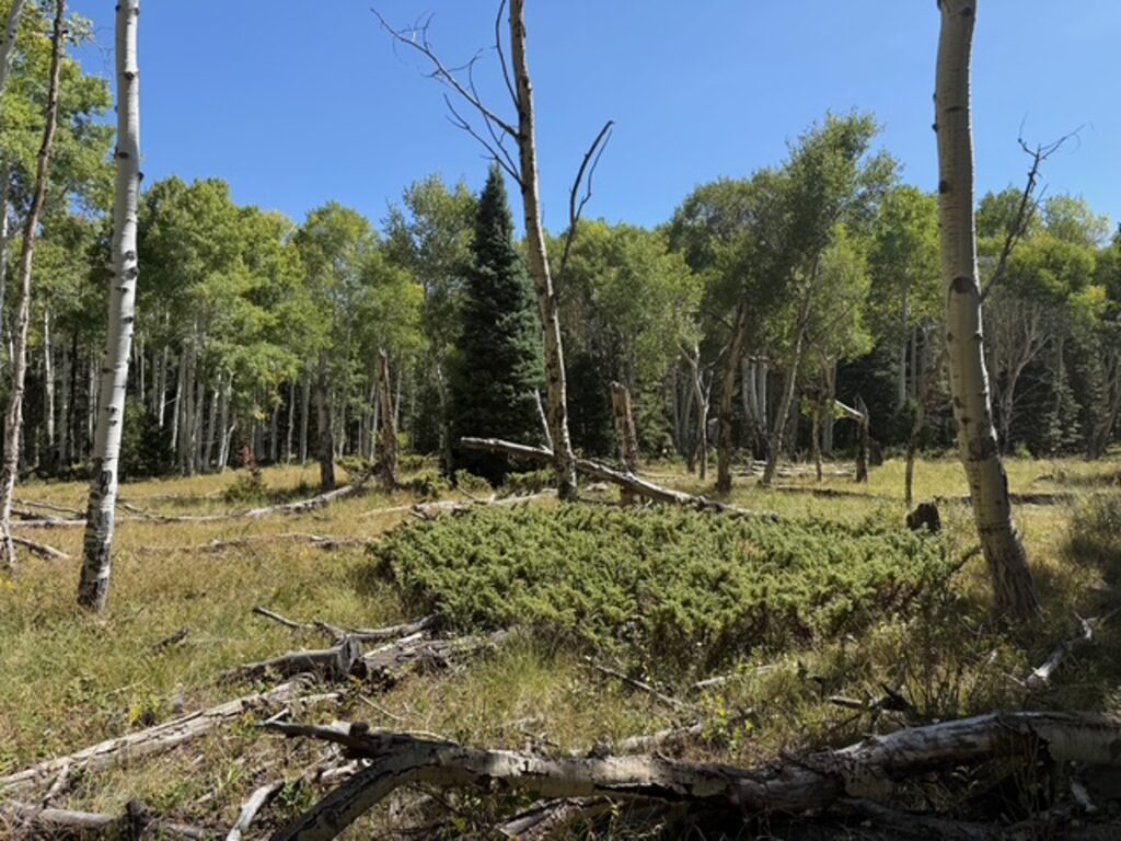 Property photo for land for sale in Gunnison County Colorado