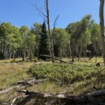 Property photo for land for sale in Gunnison County Colorado