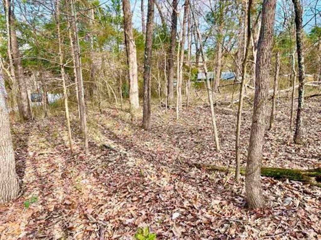 Property photo for land for sale in Sharp County Arkansas