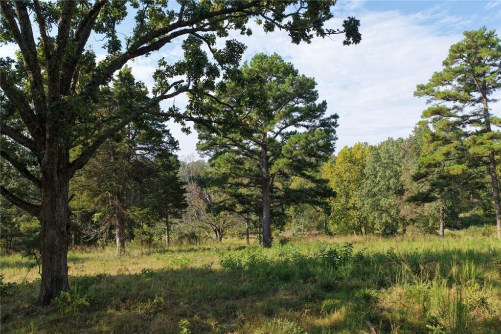 Property photo for land for sale in Boone County Arkansas