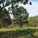 Property photo for land for sale in Boone County Arkansas