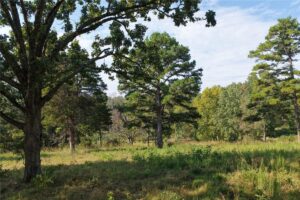 Property photo for land for sale in Boone County Arkansas