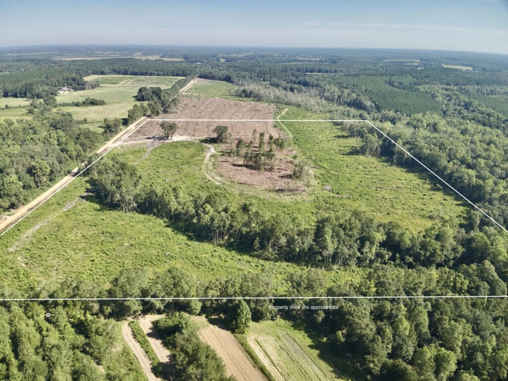 Property photo for land for sale in Geneva County Alabama