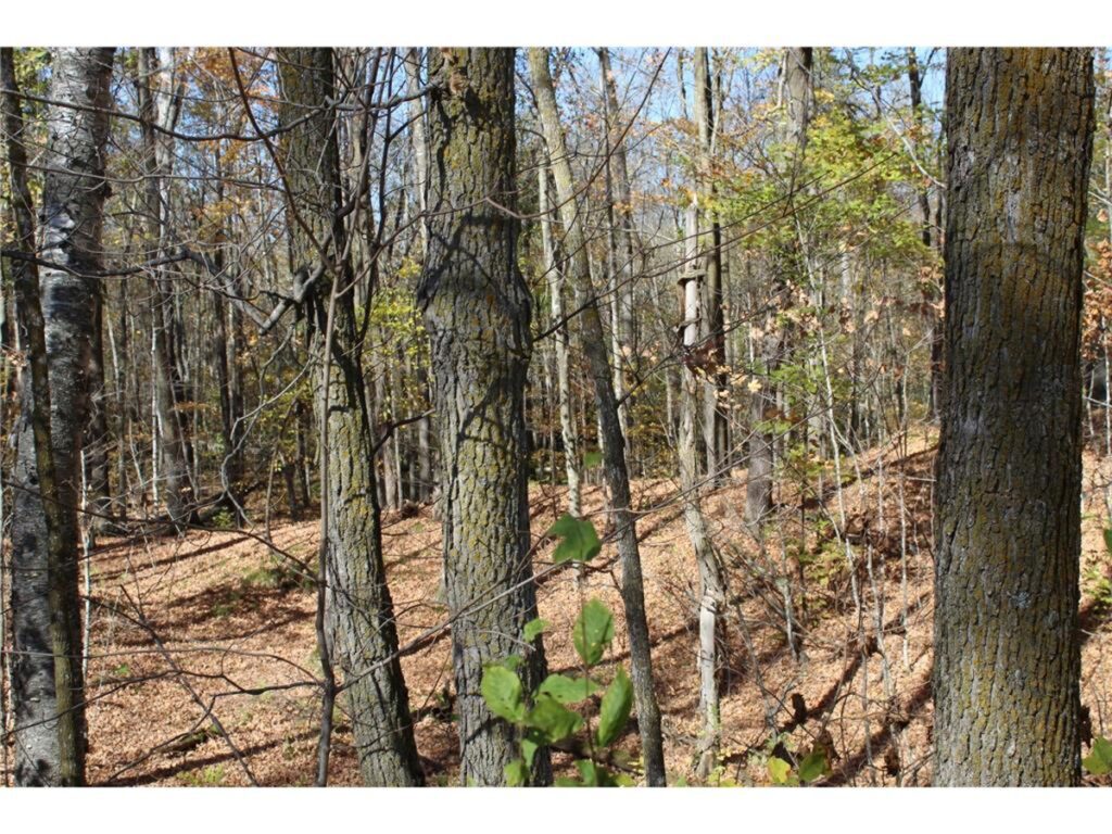 Property photo for land for sale in Kanabec County Minnesota