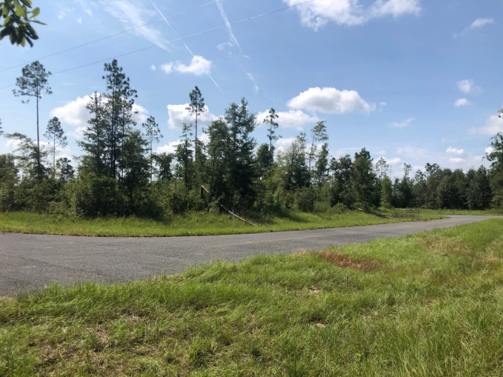 Property photo for land for sale in Suwannee County Florida