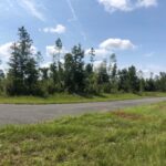 Property photo for land for sale in Suwannee County Florida