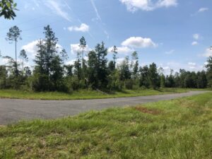 Property photo for land for sale in Suwannee County Florida
