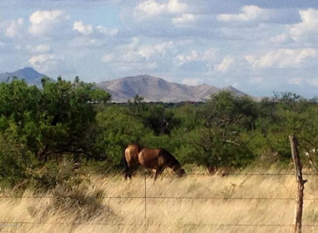 Property photo for land for sale in Cochise County Arizona