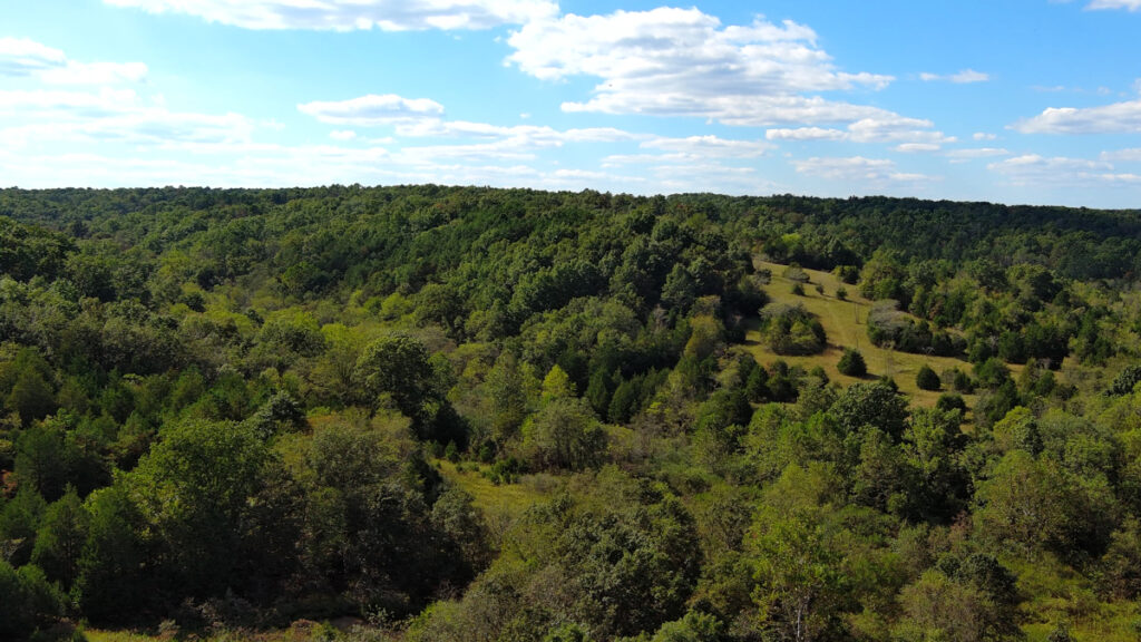 Property photo for land for sale in Reynolds County Missouri