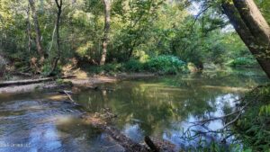 Property photo for land for sale in Amite County Mississippi