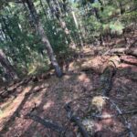 Property photo for land for sale in Adams County Wisconsin