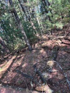 Property photo for land for sale in Adams County Wisconsin