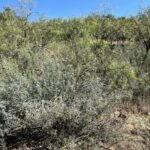 Property photo for land for sale in Brown County Texas