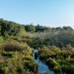 Property photo for land for sale in Smith County Texas