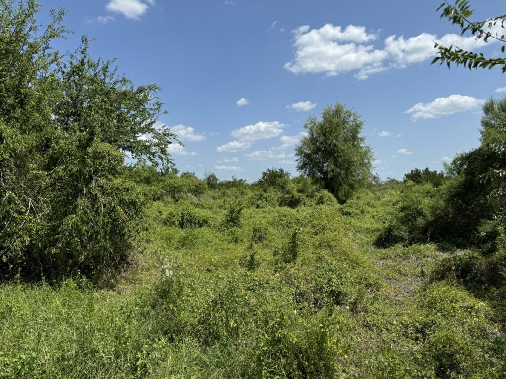 Property photo for land for sale in Live Oak County Texas
