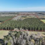 Property photo for land for sale in Cass County Texas