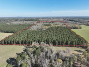 Property photo for land for sale in Cass County Texas