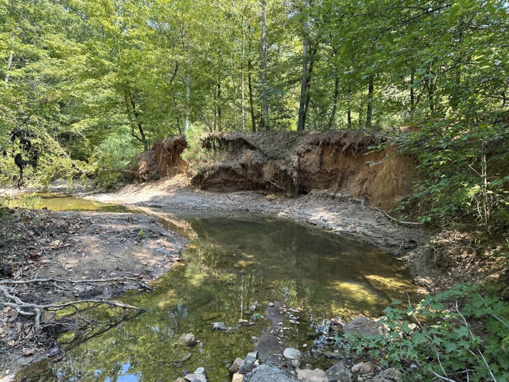 Property photo for land for sale in Cherokee County Texas