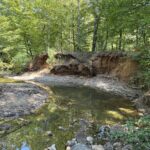 Property photo for land for sale in Cherokee County Texas