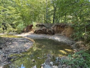 Property photo for land for sale in Cherokee County Texas