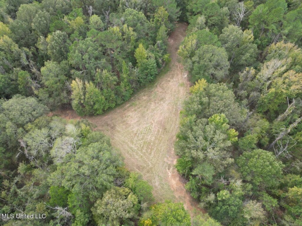 Property photo for land for sale in Claiborne County Mississippi