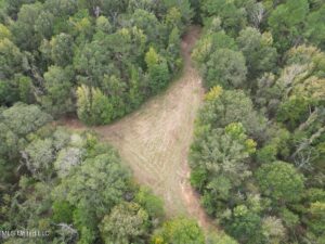 Property photo for land for sale in Claiborne County Mississippi