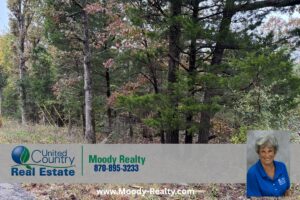 Property photo for land for sale in Izard County Arkansas