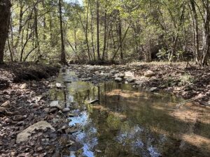 Property photo for land for sale in Izard County Arkansas