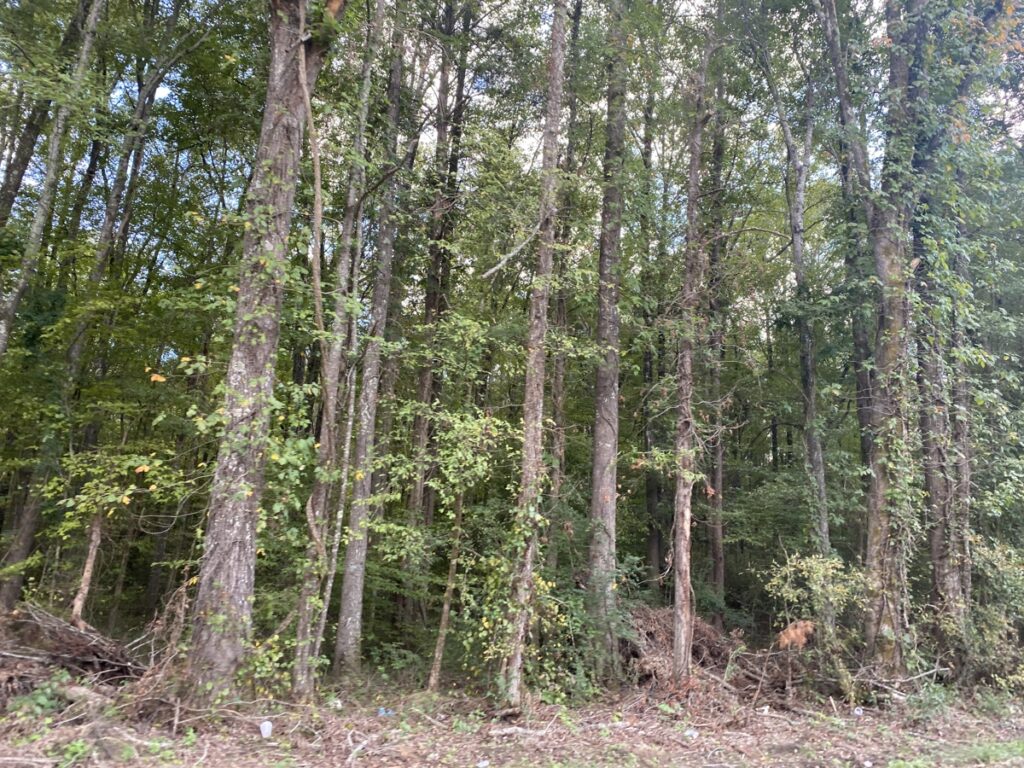 Property photo for land for sale in Hardin County Tennessee