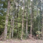 Property photo for land for sale in Hardin County Tennessee