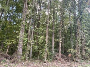 Property photo for land for sale in Hardin County Tennessee
