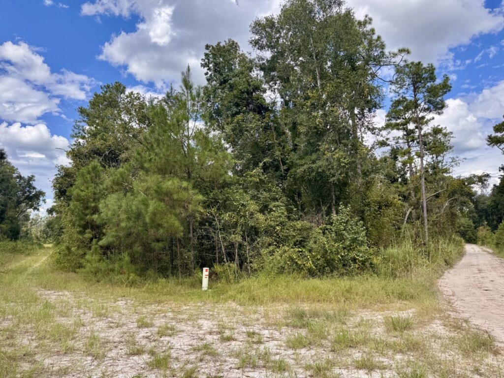 Property photo for land for sale in Hamilton County Florida