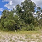 Property photo for land for sale in Hamilton County Florida