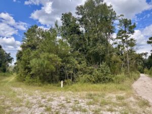 Property photo for land for sale in Hamilton County Florida