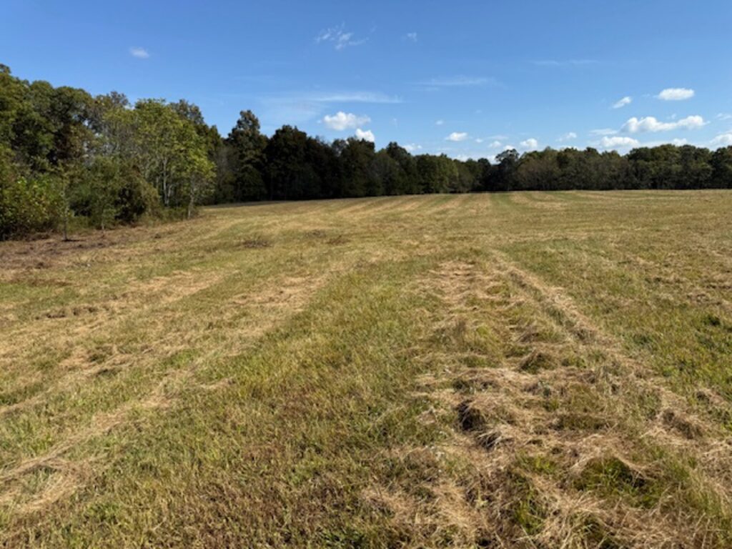 Property photo for land for sale in Cumberland County Tennessee