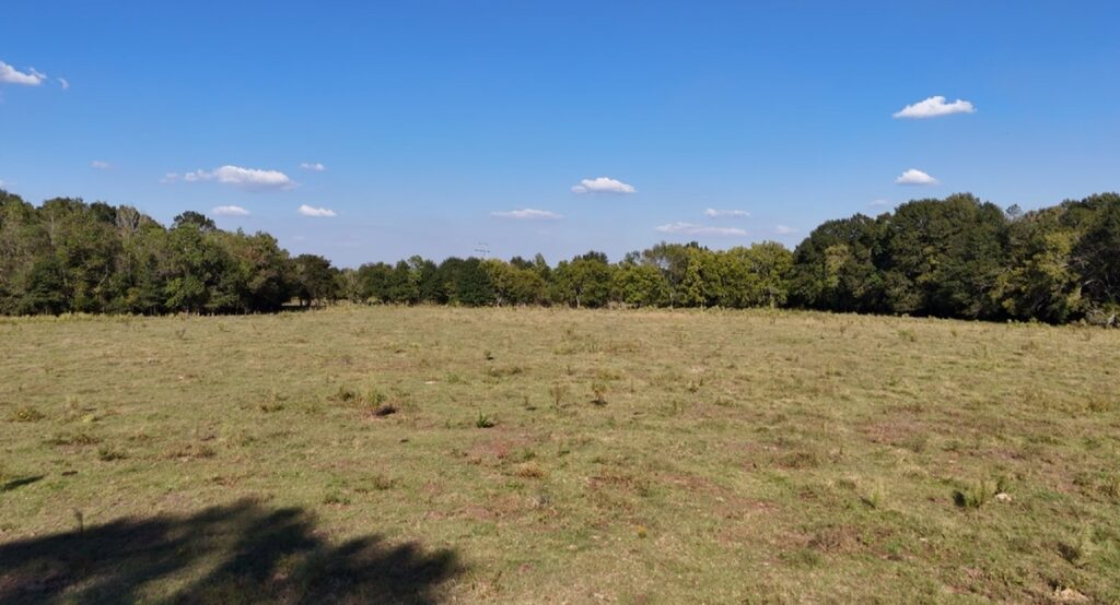 Property photo for land for sale in Evangeline County Louisiana
