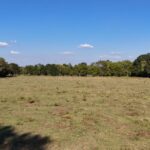 Property photo for land for sale in Evangeline County Louisiana