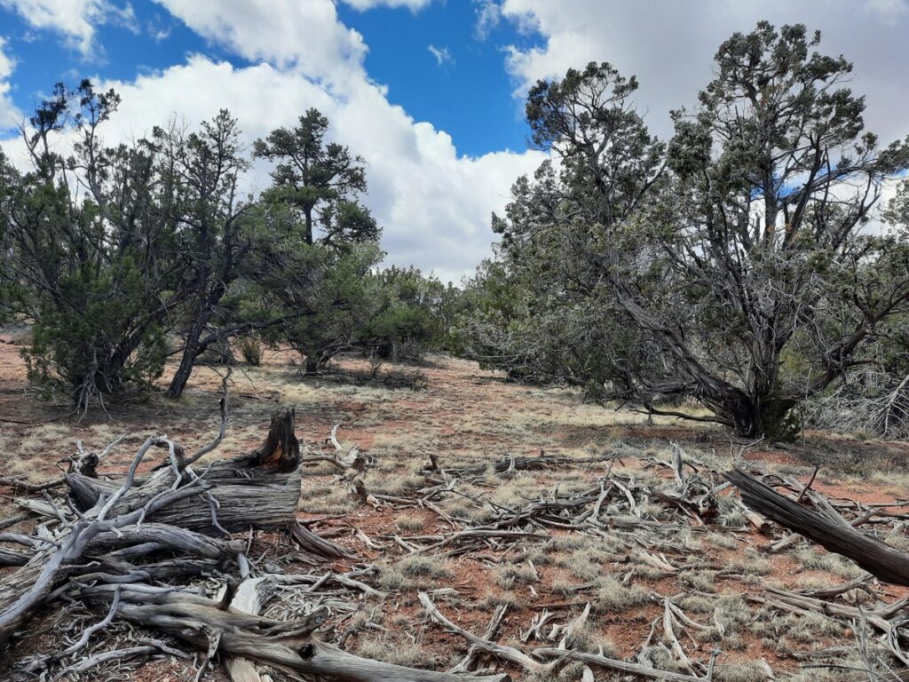 Property photo for land for sale in Yavapai County Arizona