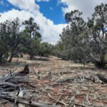 Property photo for land for sale in Yavapai County Arizona