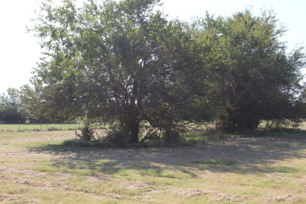 Property photo for land for sale in Bryan County Oklahoma