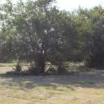 Property photo for land for sale in Bryan County Oklahoma