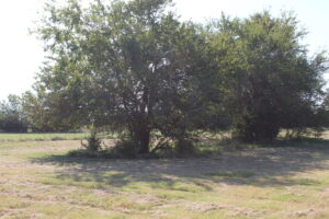 Property photo for land for sale in Bryan County Oklahoma