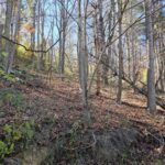 Property photo for land for sale in Montgomery County Virginia