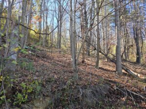 Property photo for land for sale in Montgomery County Virginia