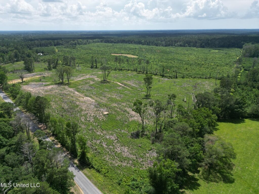 Property photo for land for sale in Amite County Mississippi