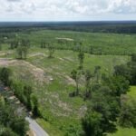 Property photo for land for sale in Amite County Mississippi